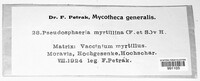 Image Associated With the Occurence